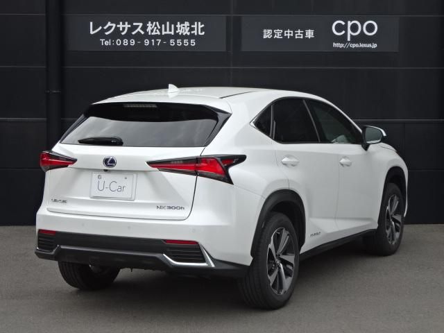 LEXUS NX300h