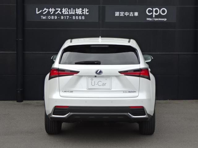 LEXUS NX300h