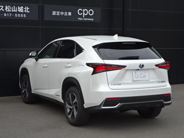 LEXUS NX300h