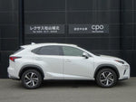 LEXUS NX300h