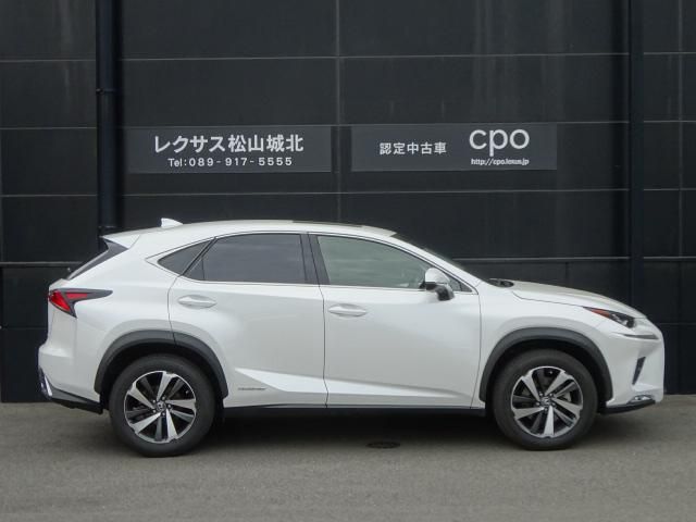 LEXUS NX300h