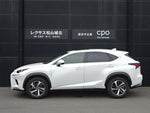 LEXUS NX300h