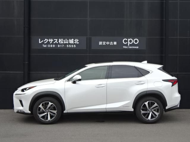 LEXUS NX300h