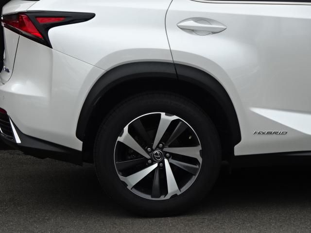 LEXUS NX300h