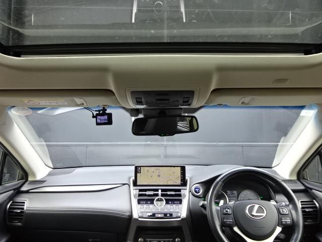 LEXUS NX300h