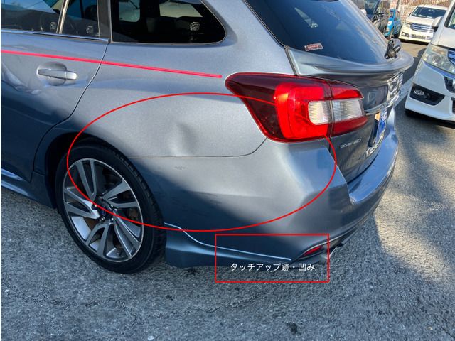 LEVORG