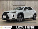 LEXUS UX250h