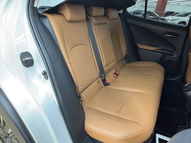 LEXUS UX250h