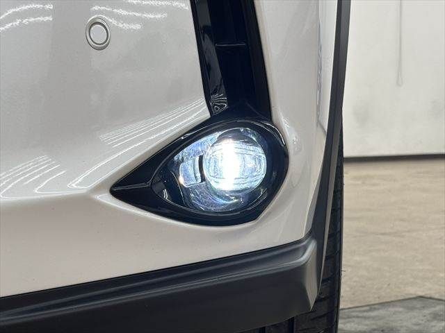 LEXUS UX250h
