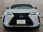 LEXUS UX250h