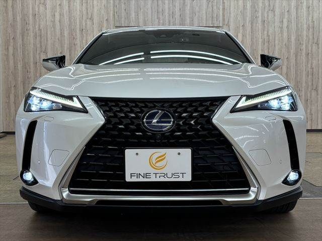 LEXUS UX250h