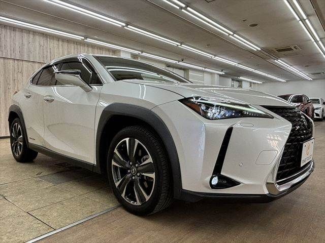 LEXUS UX250h