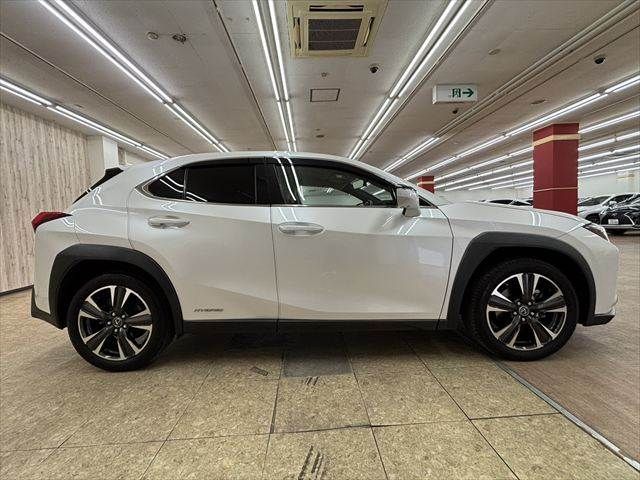 LEXUS UX250h