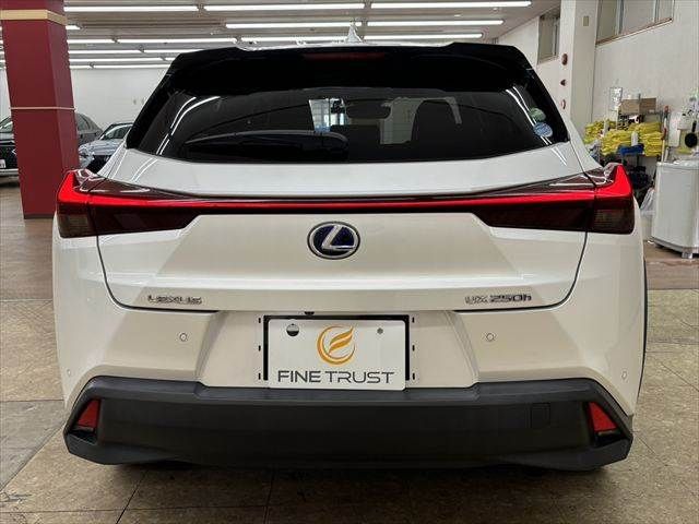 LEXUS UX250h