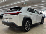 LEXUS UX250h