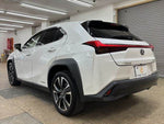 LEXUS UX250h