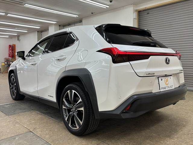 LEXUS UX250h