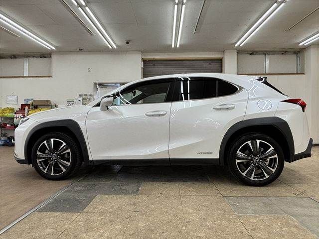 LEXUS UX250h