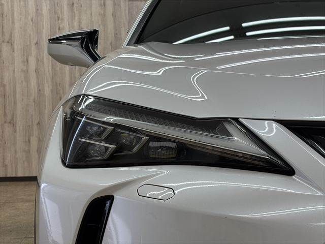 LEXUS UX250h