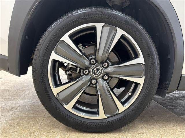 LEXUS UX250h
