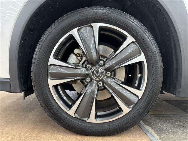 LEXUS UX250h