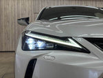 LEXUS UX250h