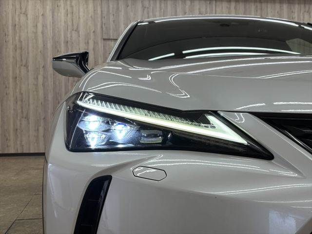 LEXUS UX250h