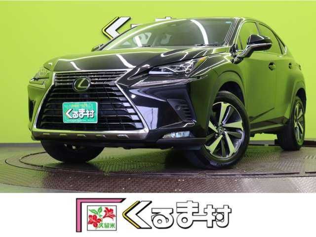 LEXUS NX300