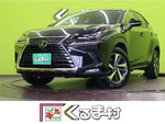 LEXUS NX300