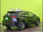 LEXUS NX300