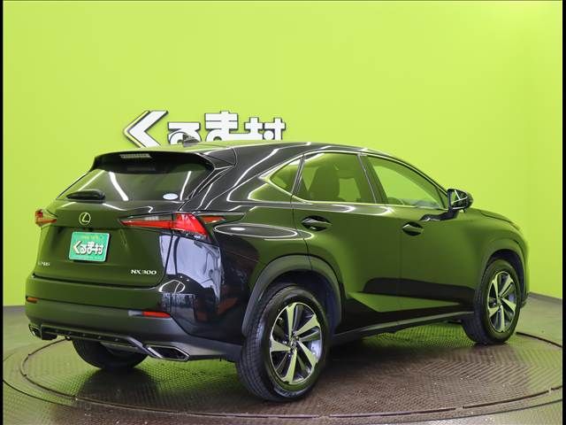 LEXUS NX300