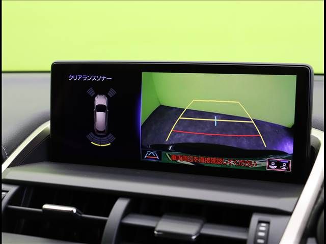 LEXUS NX300