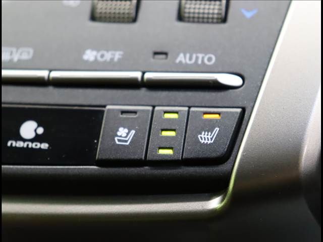 LEXUS NX300