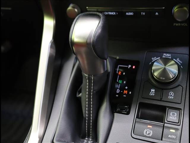LEXUS NX300