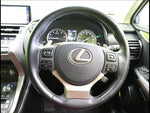 LEXUS NX300