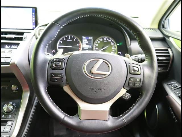 LEXUS NX300