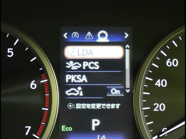 LEXUS NX300