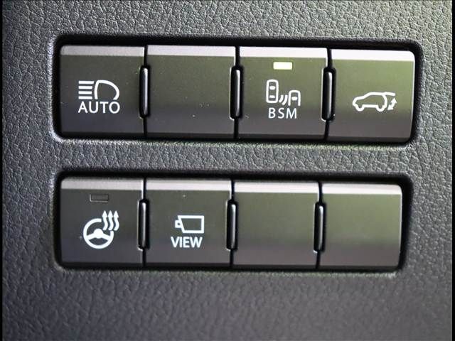 LEXUS NX300