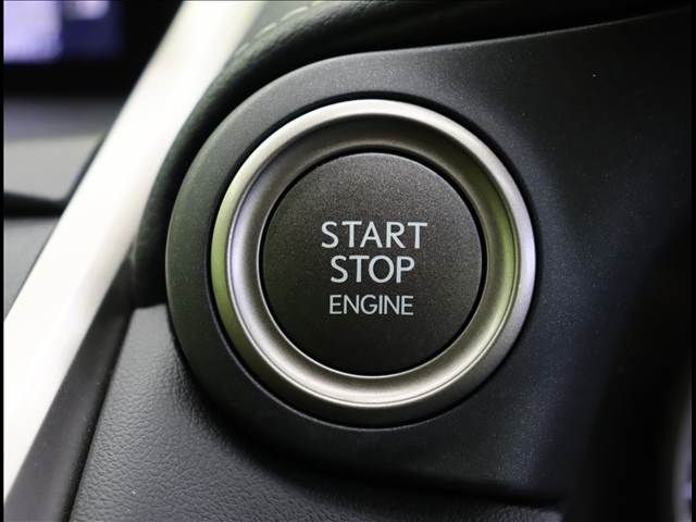 LEXUS NX300