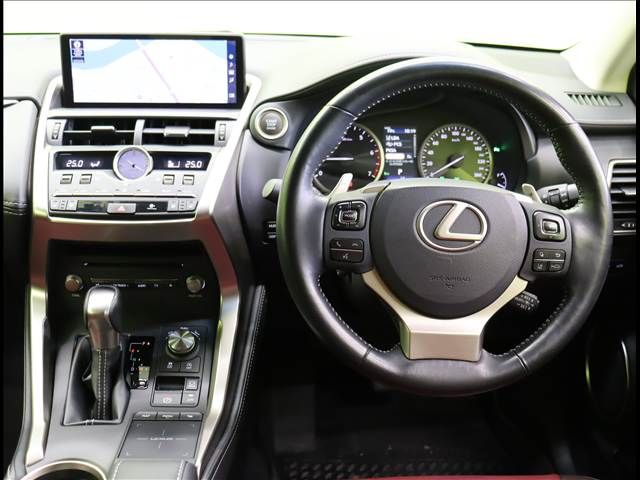 LEXUS NX300