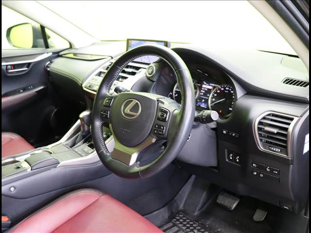 LEXUS NX300