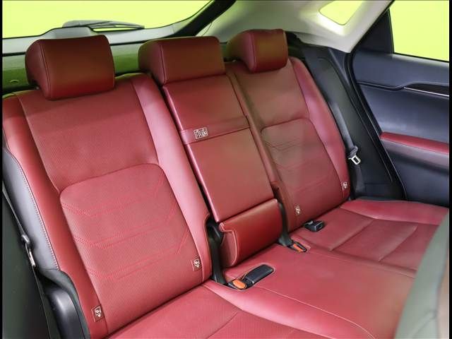 LEXUS NX300