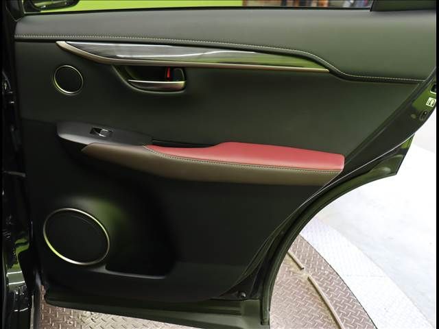 LEXUS NX300