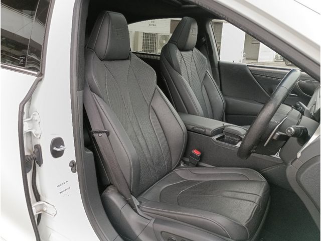 LEXUS ES300h