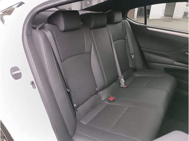 LEXUS ES300h