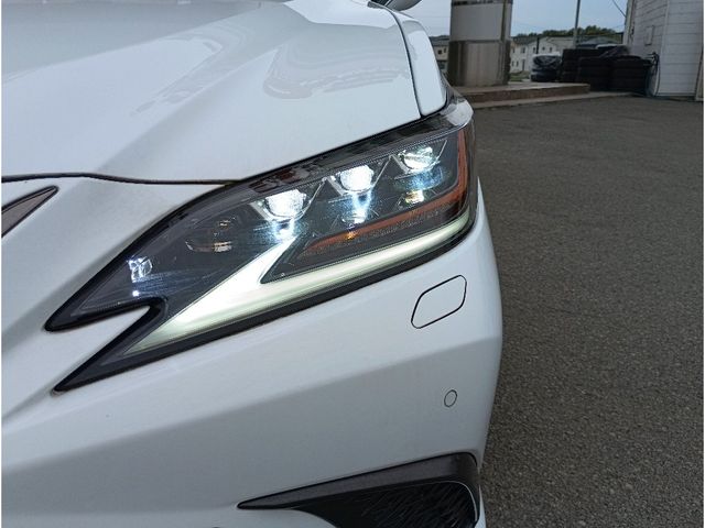 LEXUS ES300h