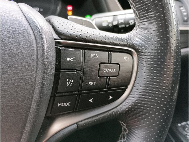 LEXUS ES300h