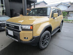 LANDCRUISER 250