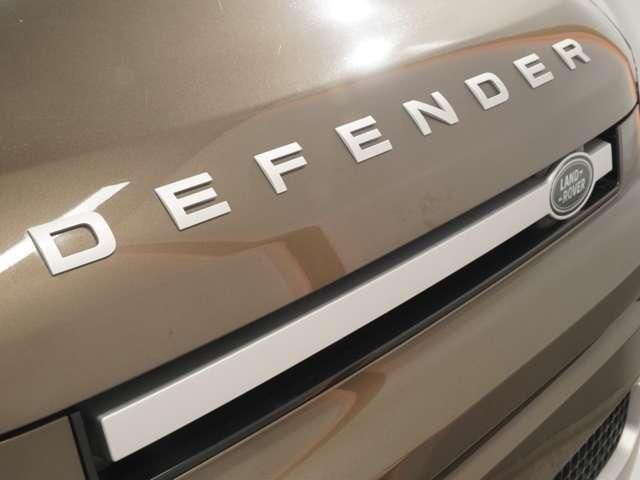 ROVER DEFENDER