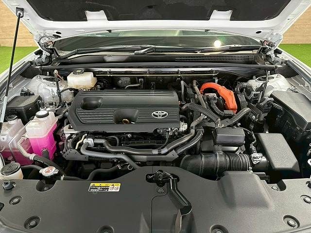 CROWN SPORT